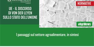 UE - Il discorso di Von der Leyen sullo stato dell'Unione,...