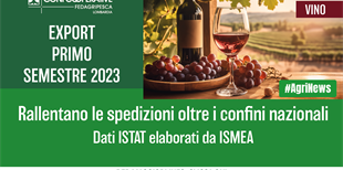Vino, frenata per l'export nel primo semestre 2023
