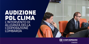 Audizione Pdl Clima, l'intervento di Alleanza della...