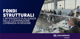 Alleanza: 
