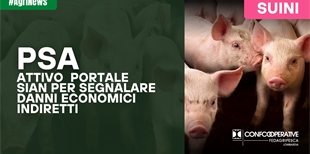 PSA, attivo sul portale SIAN il servizio per segnalare i...