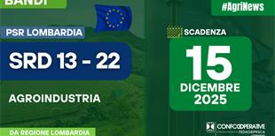 PSR - AGROINDUSTRIA - Pubblicato il bando SRD13 -22