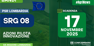 BANDI PSR - INNOVAZIONE - SRG08 Azioni pilota