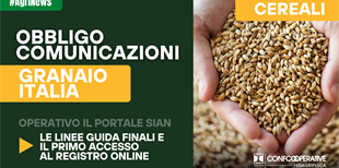 Cereali: al via dal 31 luglio il nuovo sistema di...
