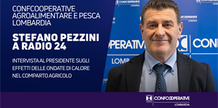 Effetti del caldo sull'agricoltura: l'intervista a Stefano...