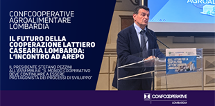 Assemblea AREPO, Pezzini: 