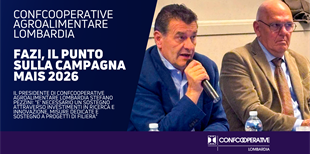 Fazi, campagna mais 2026 in emergenza: qualità compromessa...